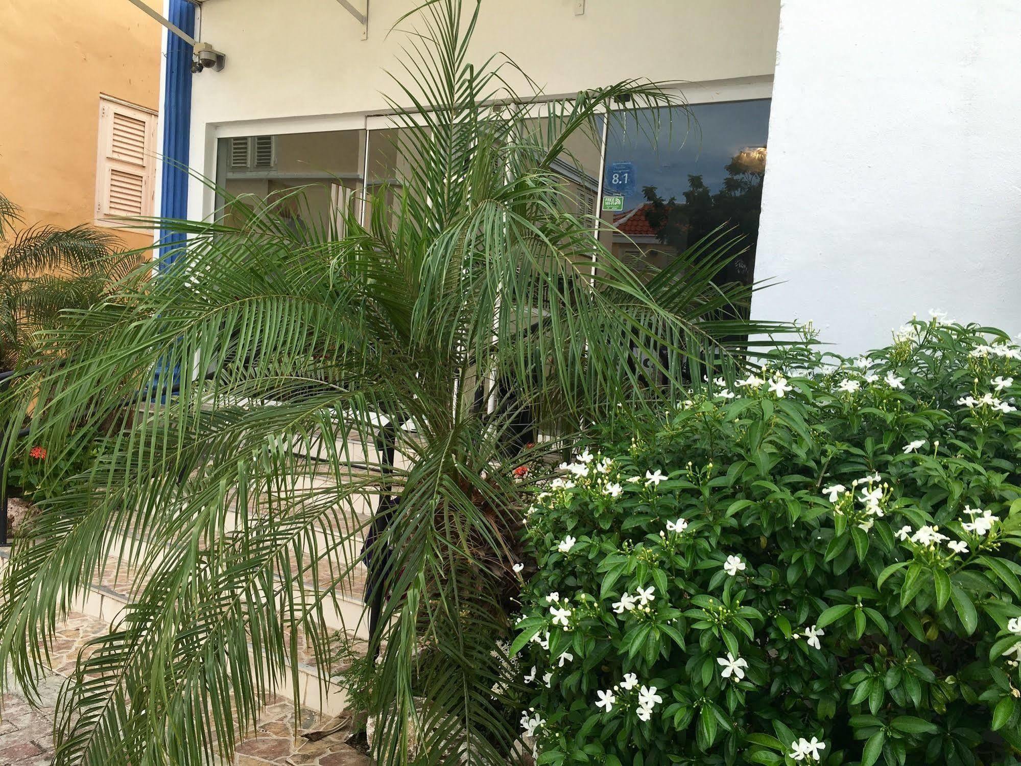 Curacao Suites Hotel Willemstad Luaran gambar